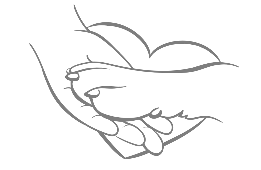 Das Bild zeigt eine stilisierte graue Linienzeichnung auf weißem Hintergrund. Eine menschliche Hand hält sanft eine Hundepfote, die Finger sind dabei leicht geöffnet und die Pfote ruht ruhig darin. Im Hintergrund erstreckt sich ein großes Herz über beide Figuren. Die Darstellung vermittelt Vertrauen, Fürsorge und die enge Bindung zwischen Mensch und Hund.