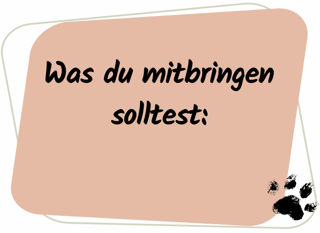 Das Bild zeigt eine grafische Fläche mit abgerundeten Ecken in einem warmen, orange-beigefarbenen Ton. Im Hintergrund ist ein leicht versetztes, helles Rechteck zu sehen, die dem Design Tiefe verleihen.

Zentriert auf der Fläche steht in großer, schwarzer, handschriftlich wirkender Schrift: „Was du mitbringen solltest:“

Unten rechts im Bild ist ein schwarzer Pfotenabdruck zu sehen – sie wirken wie gestempelt oder aufgemalt und symbolisieren Hunde oder tierisches Engagement.

Die Gestaltung ist freundlich und einladend, mit einem verspielten Touch, der gut zu einer tierbezogenen Organisation passt.